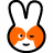 照片